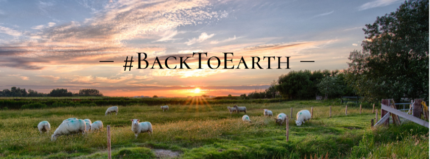 Back To Earth, pour un retour à la terre et aux territoires